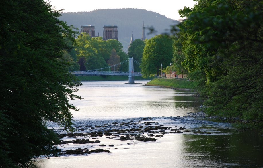 Bridge above a river with lots of trees